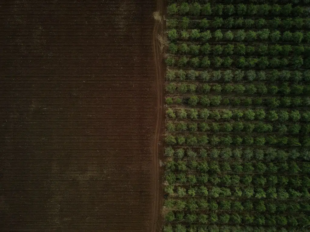 工业脚轮在自动化产线设备中的选型要点与应用方案