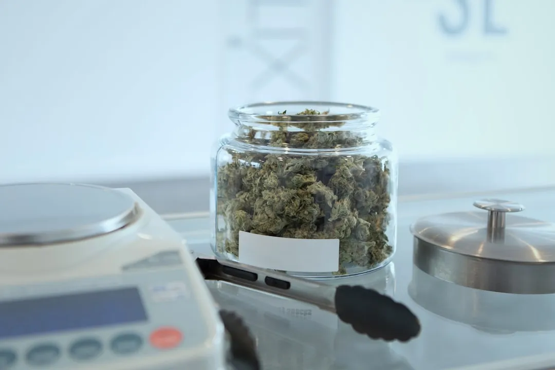 聊城辰龙脚轮工业万向轮载重性能技术参数详解