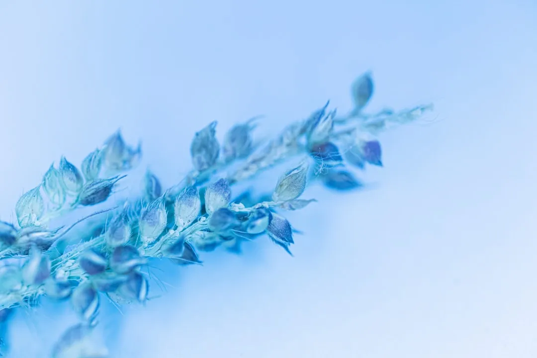 聊城辰龙脚轮工业万向轮选型指南与承载性能分析